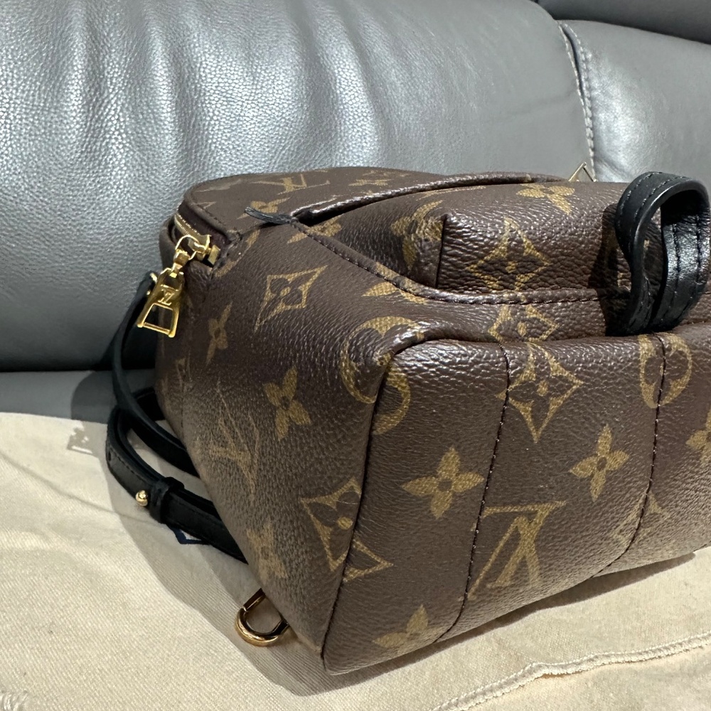 Louis Vuitton Palm Springs Mini - Picture 13 of 16
